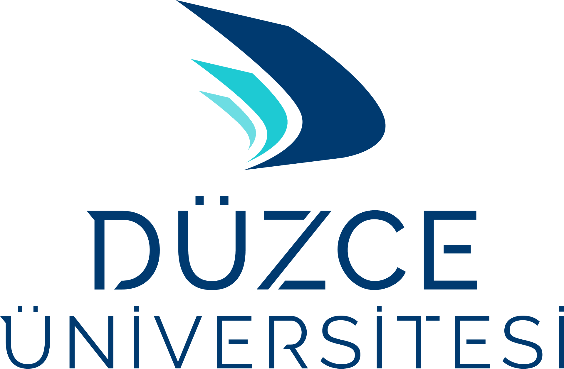 Duzce University