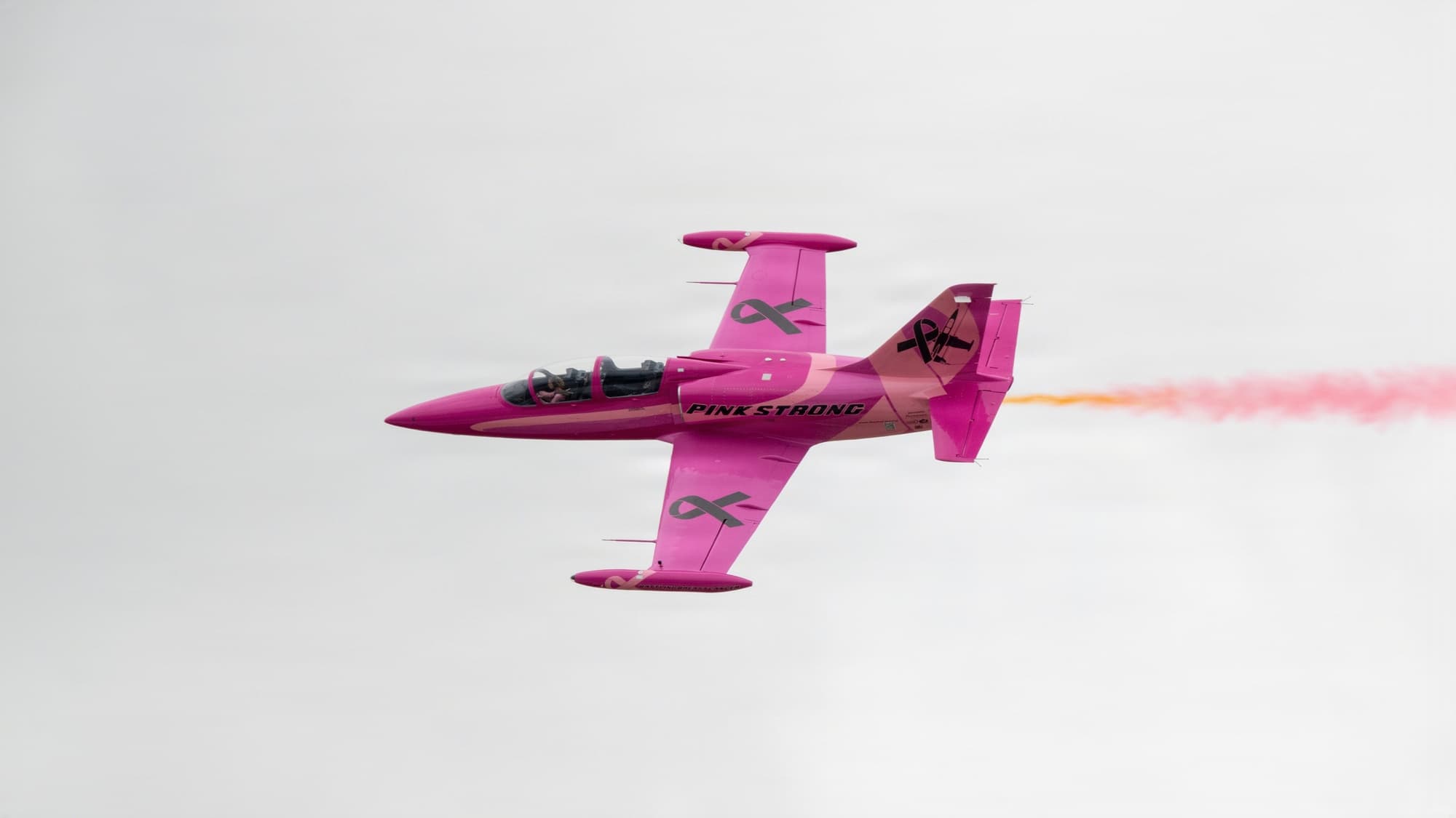 Aero L-39 Albatros Advanced Jet Trainer Family