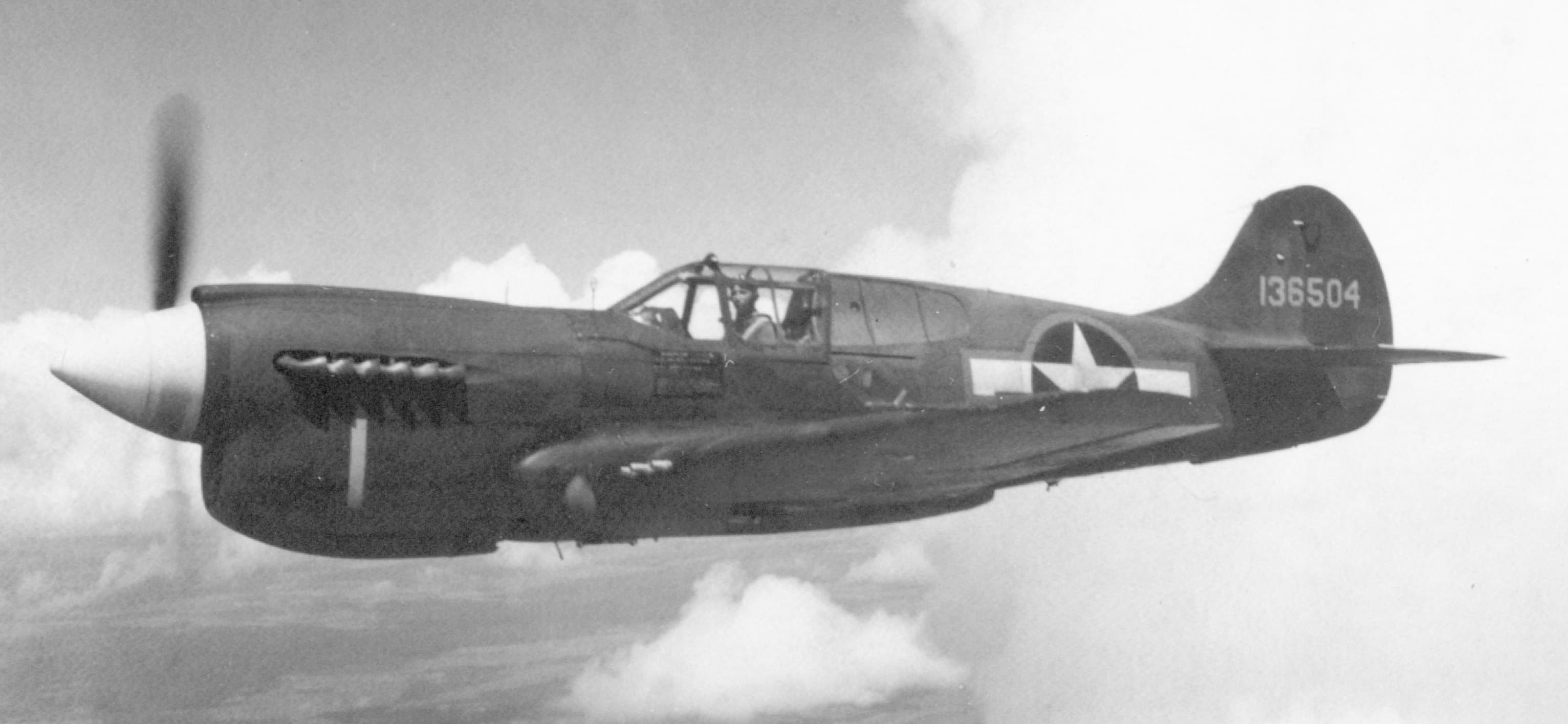 Curtiss P-40 Warhawk Fighter Family