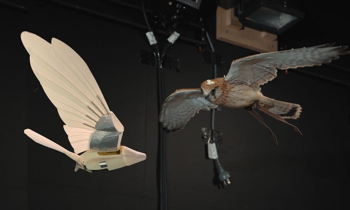 RMIT Industrial Wind Tunnel