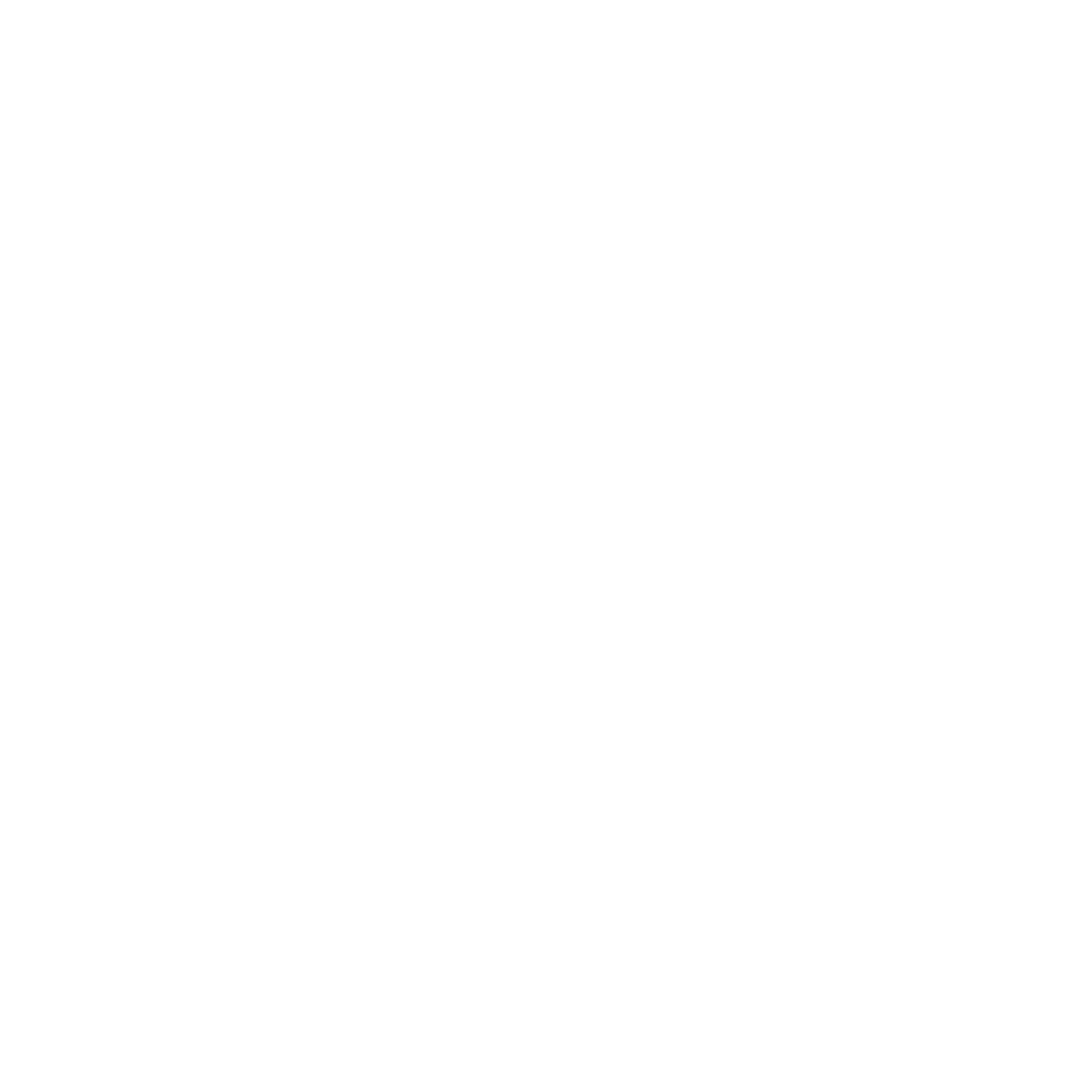 Stanford Student Space Initiative