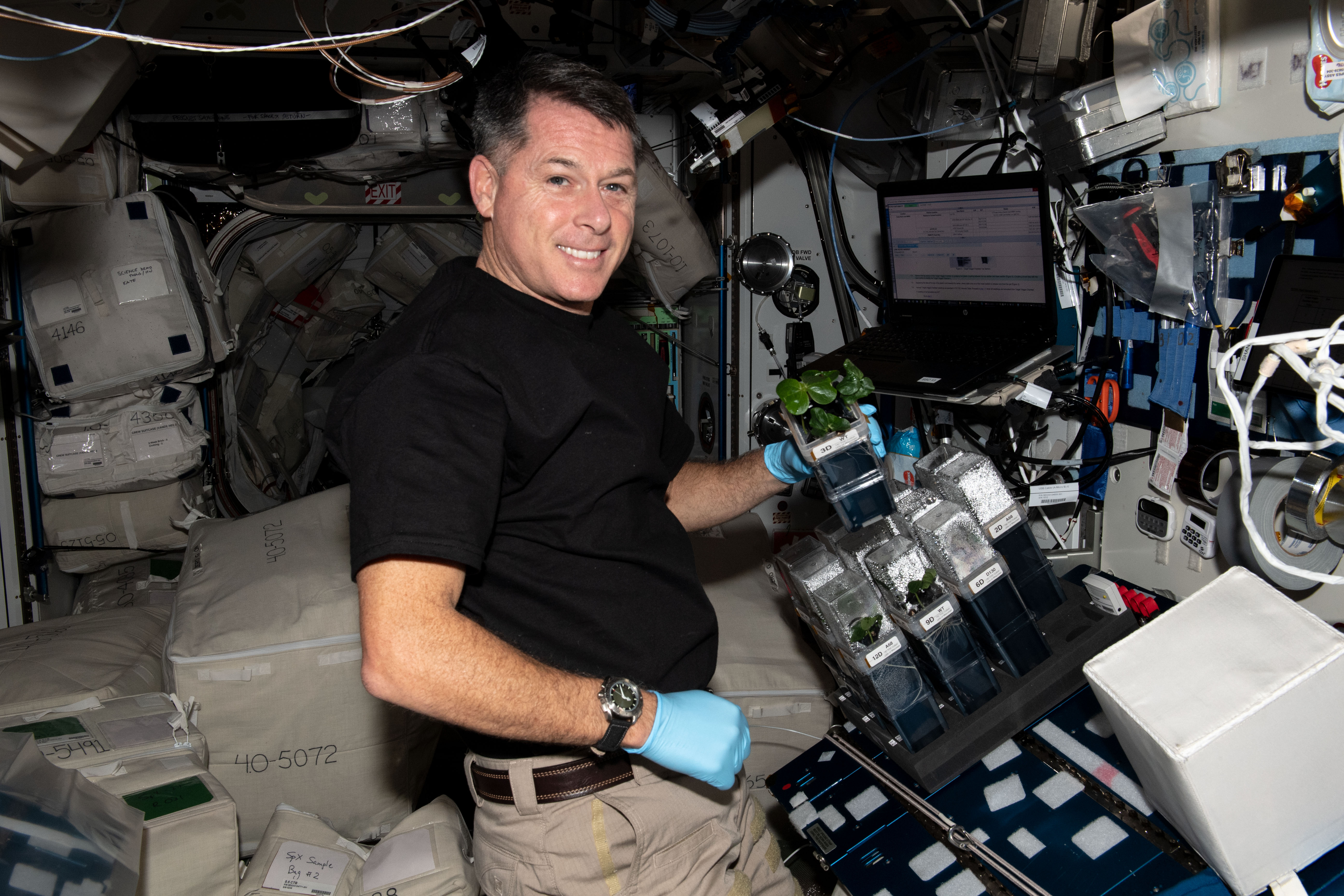Targeting Improved Cotton Through On-orbit Cultivation