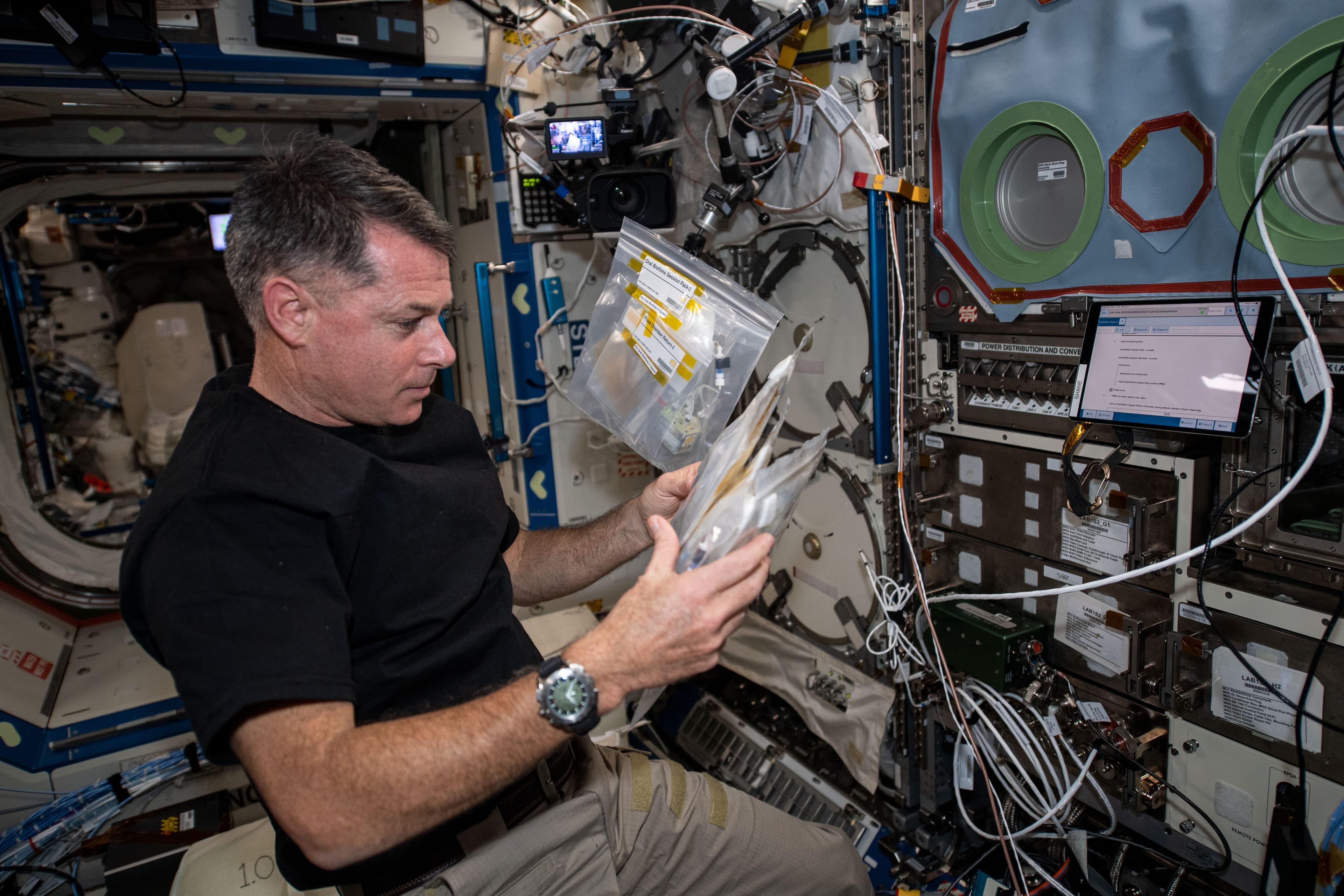 Oral Biofilms in Space