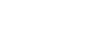 Czech Technical University