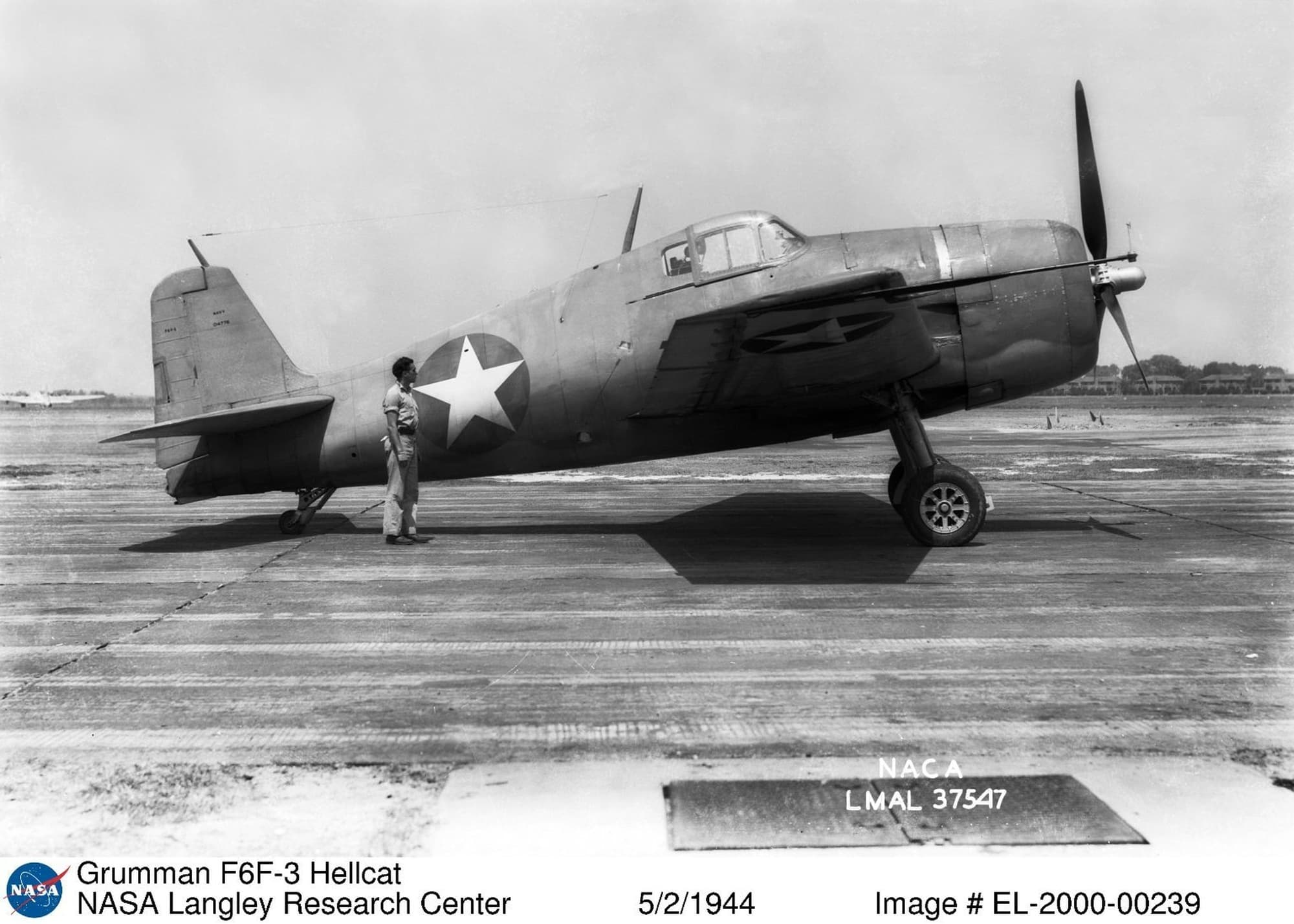 Grumman F6F Hellcat Carrier Fighter Family